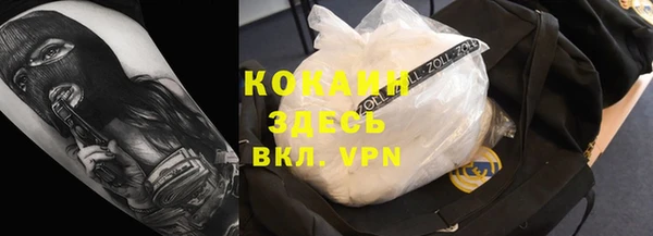 стафф Богданович