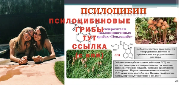 наркотики Богородицк