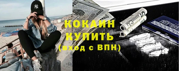 молекула духа Богородск