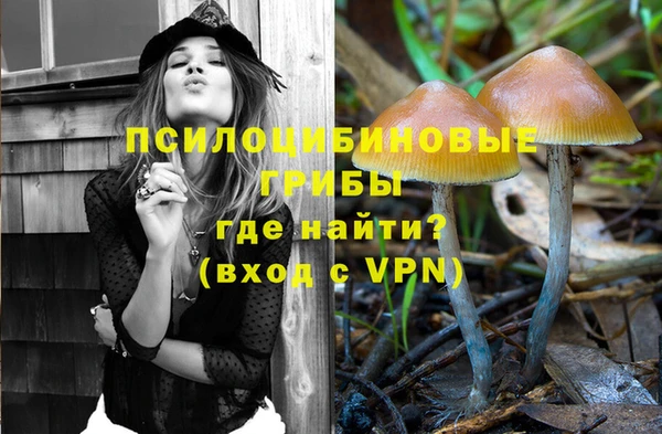 стафф Богданович